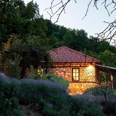 Ktima Bellou Agios Dimitrios  Bagian luar foto