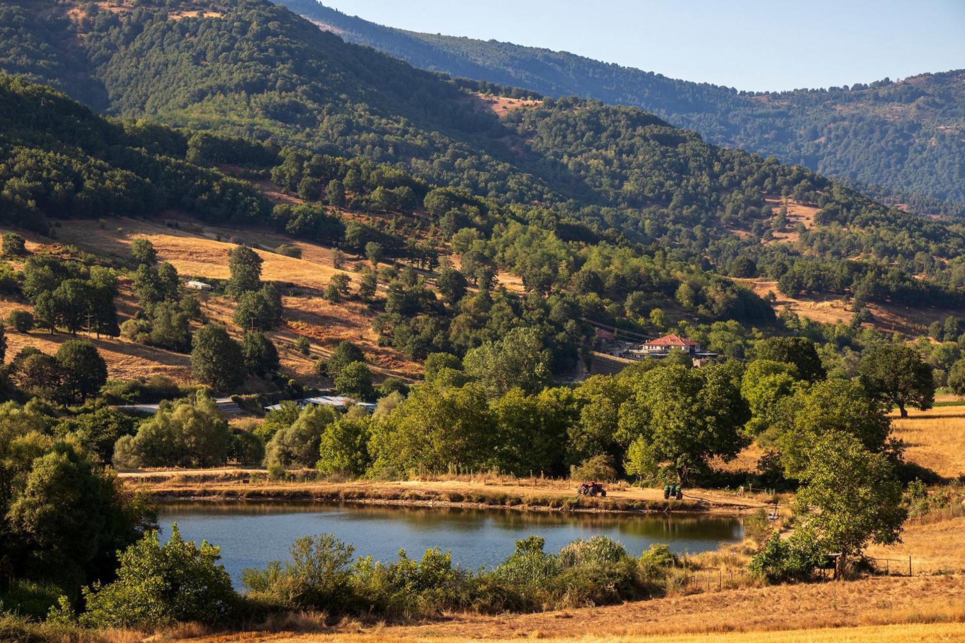 Ktima Bellou Agios Dimitrios  Bagian luar foto