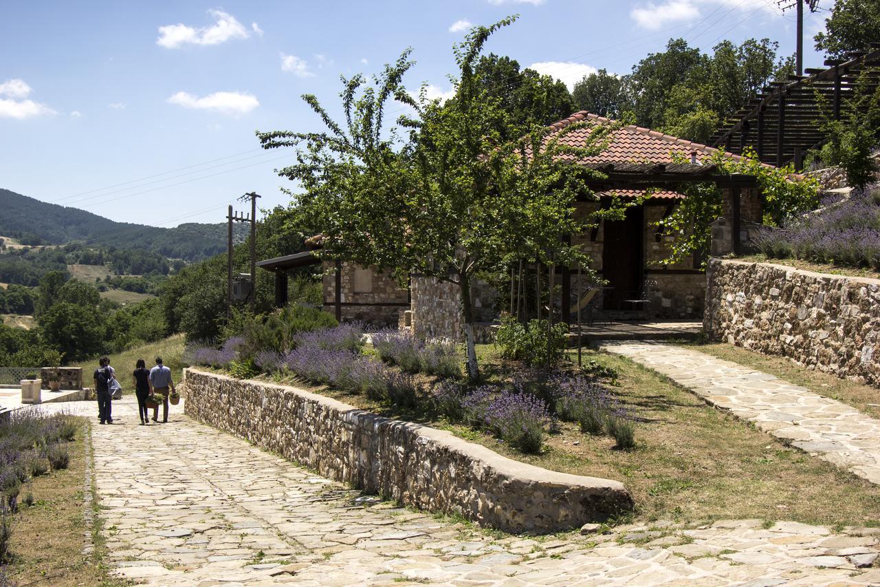 Ktima Bellou Agios Dimitrios  Bagian luar foto